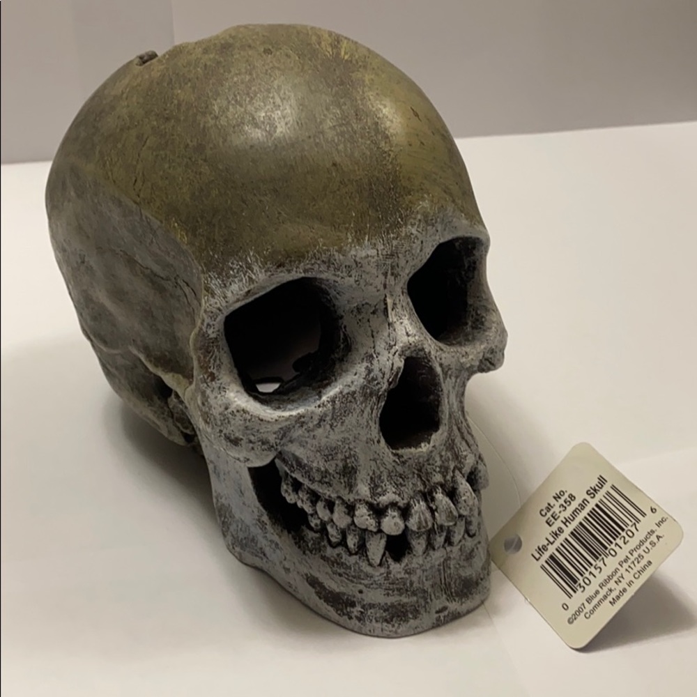 🐠 NWT! Exotic Environments Aquarium Ornament! 🐠